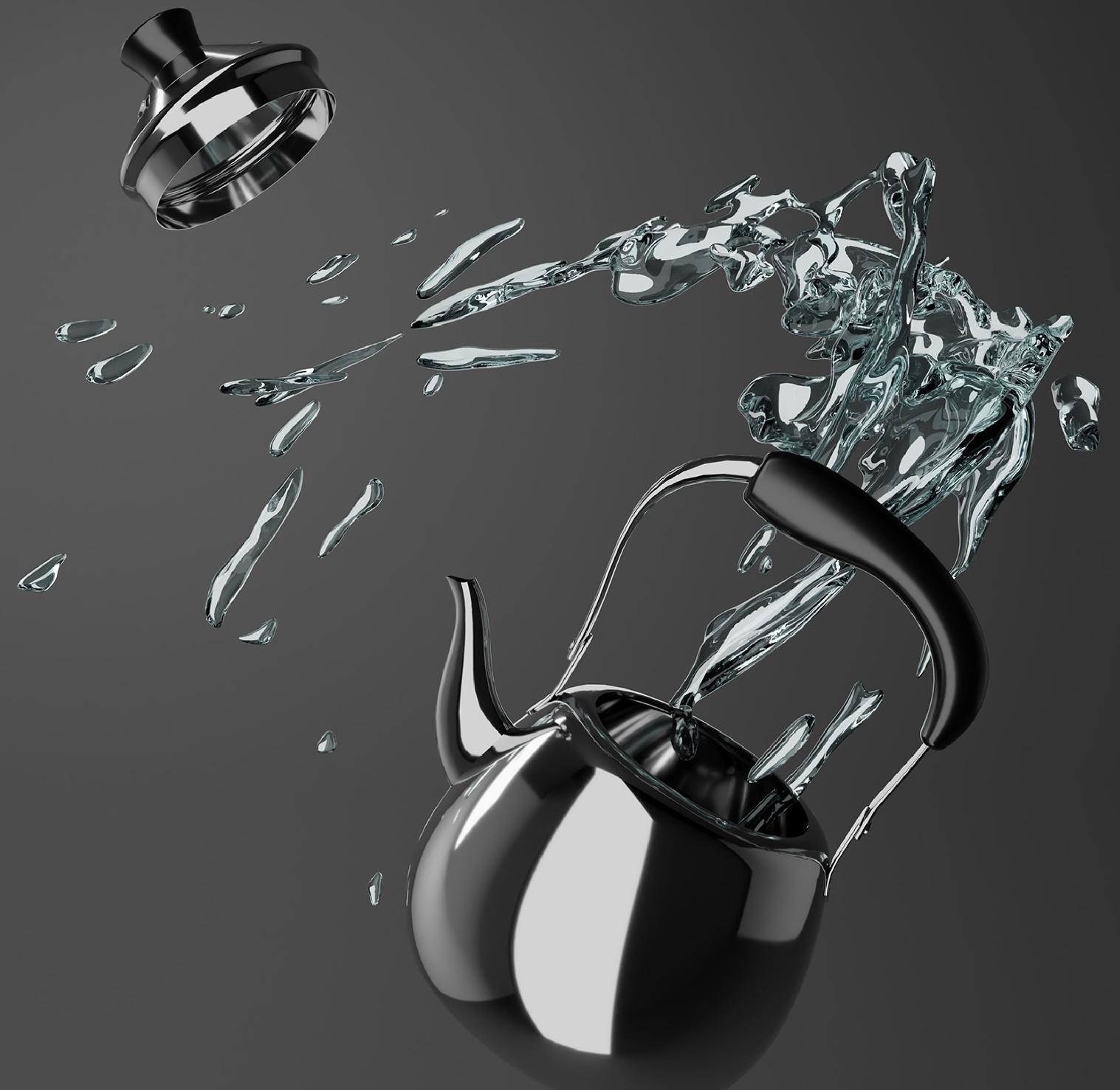 Чайник из нержавеющей стали Orchid, 1 л, цвет серебряный