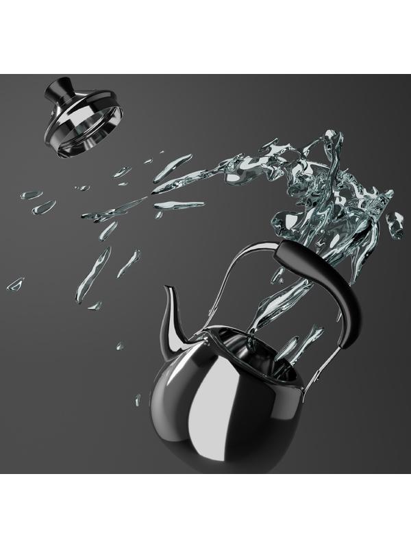 Чайник из нержавеющей стали Orchid, 1 л, цвет серебряный