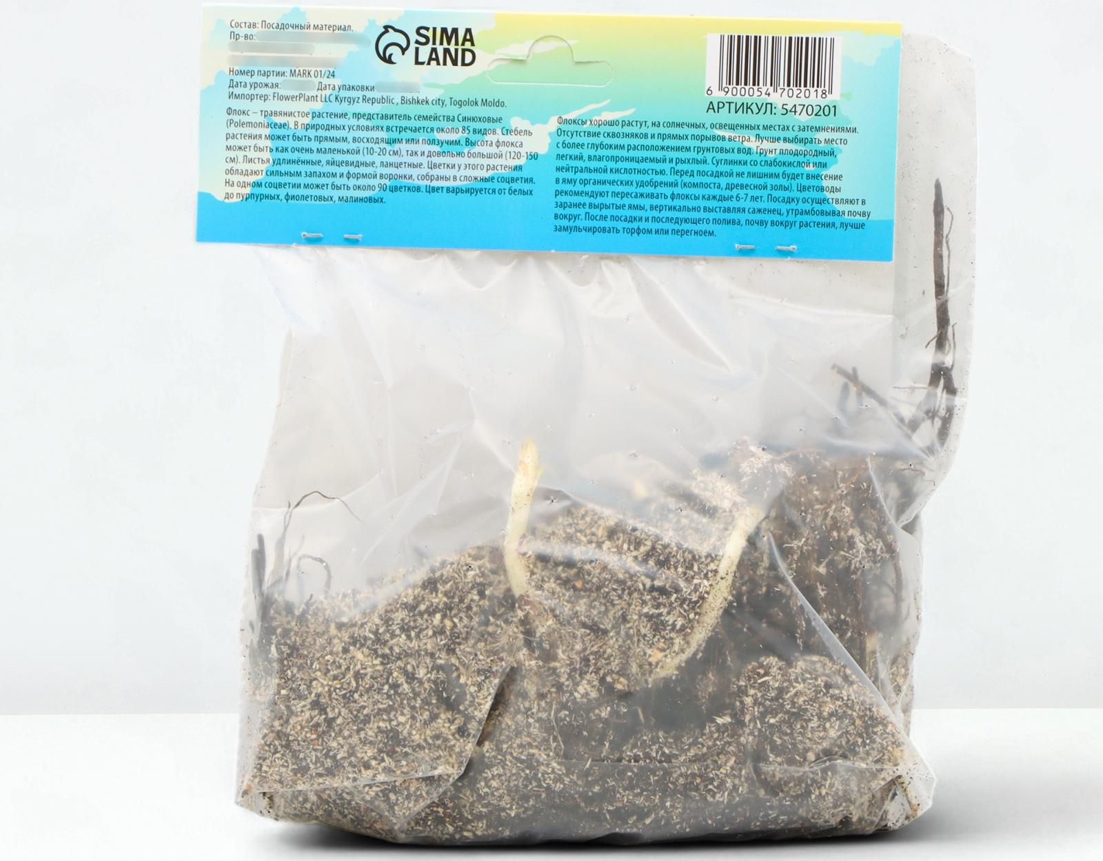 Флокс смесь сортов I, 2 шт, Весна 2024