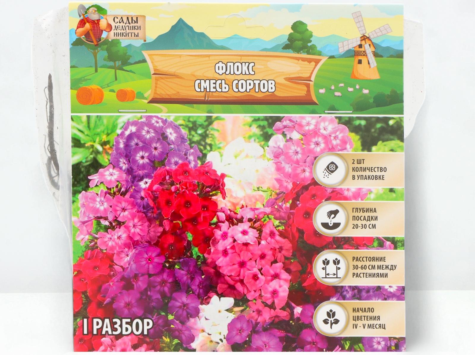 Флокс смесь сортов I, 2 шт, Весна 2024