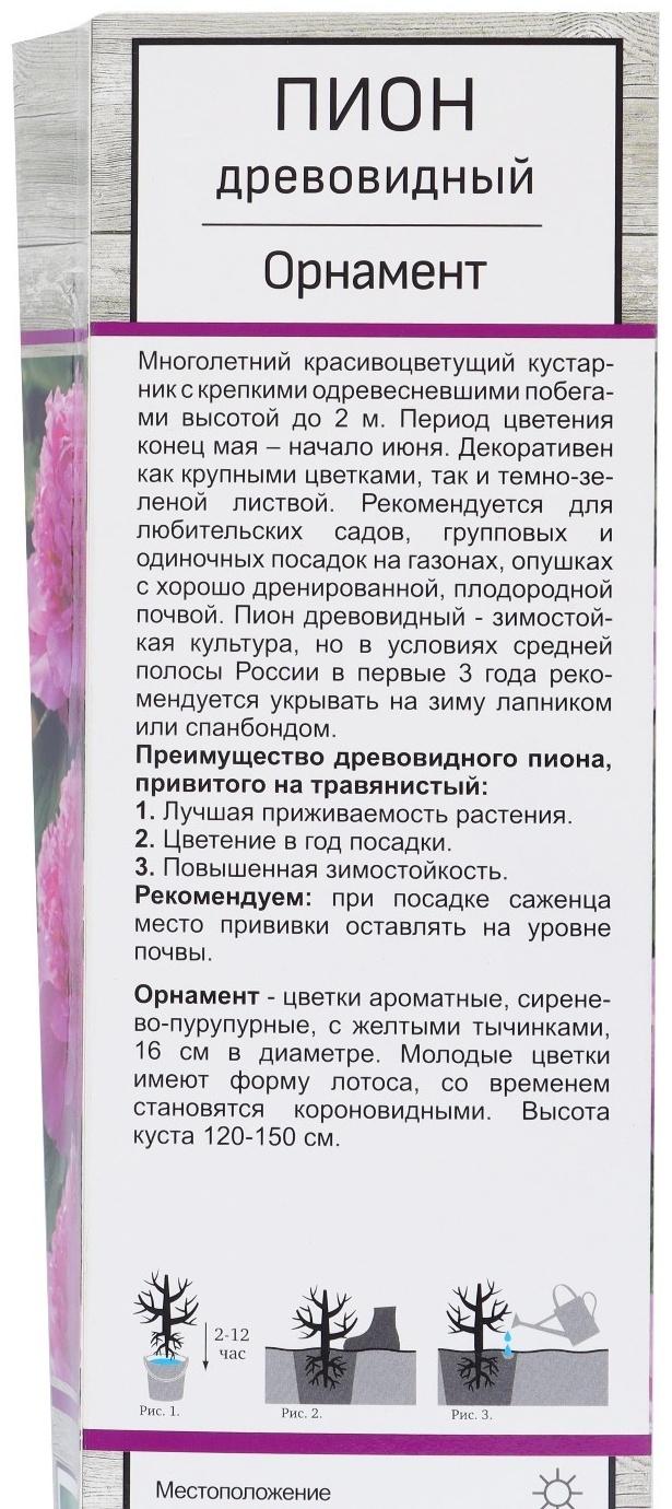 Пион древовидный  