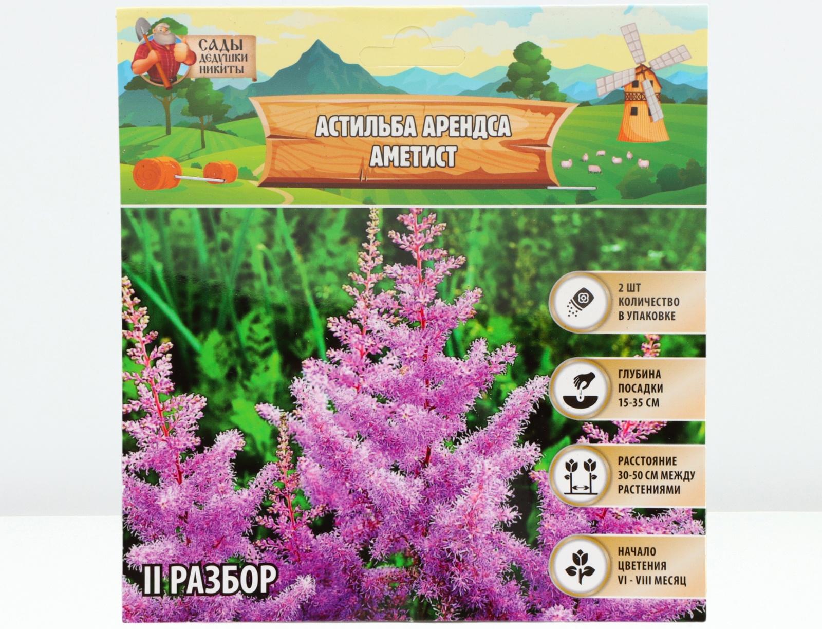 Астильба Арендса 