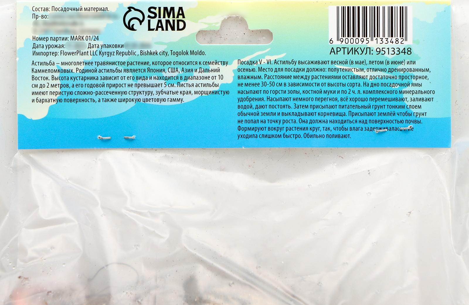 Астильба Арендса 