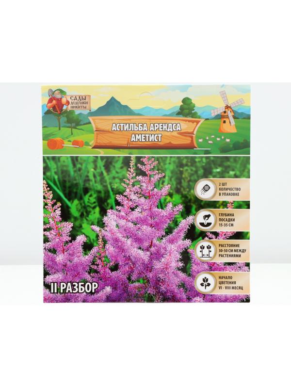 Астильба Арендса 