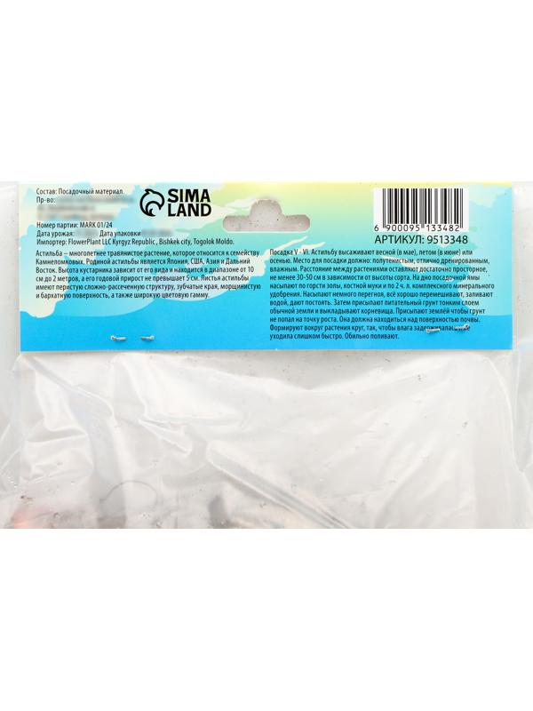 Астильба Арендса 