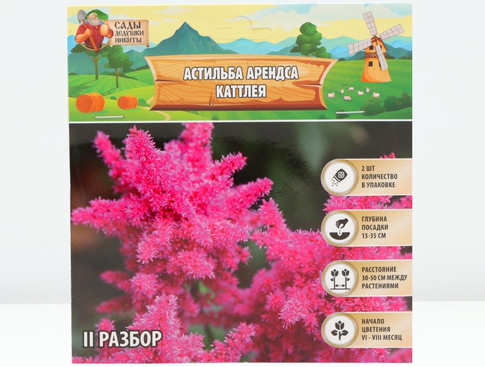 Астильба Арендса 