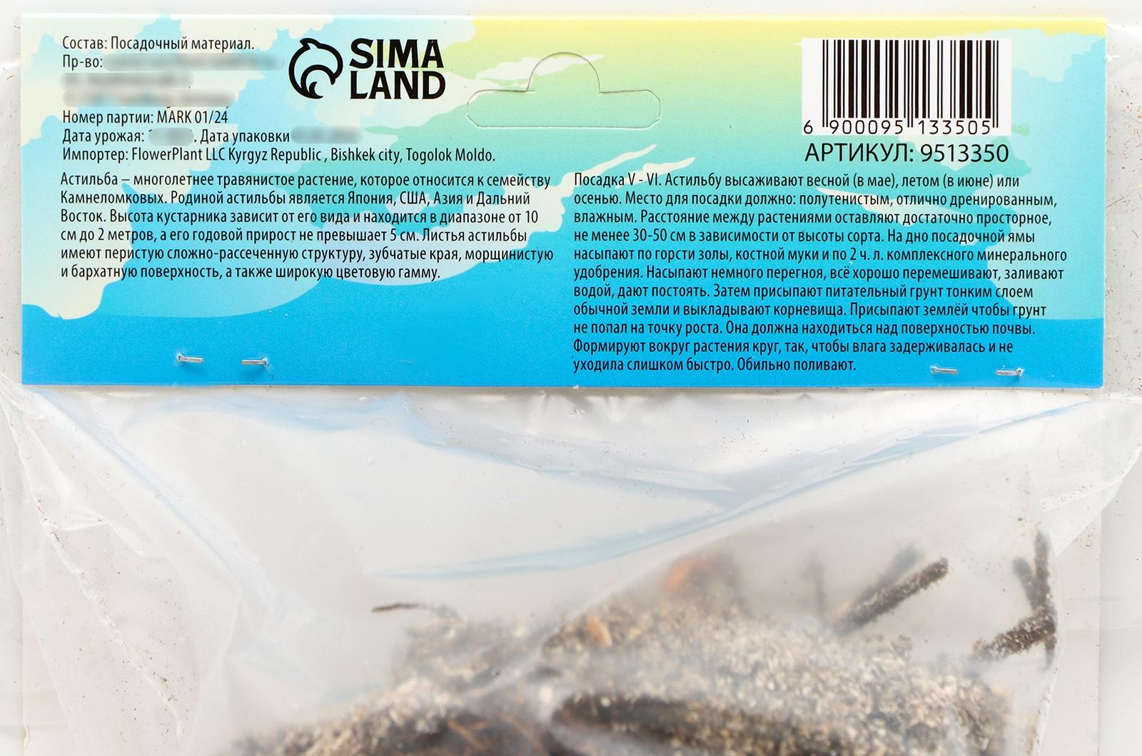 Астильба Арендса 