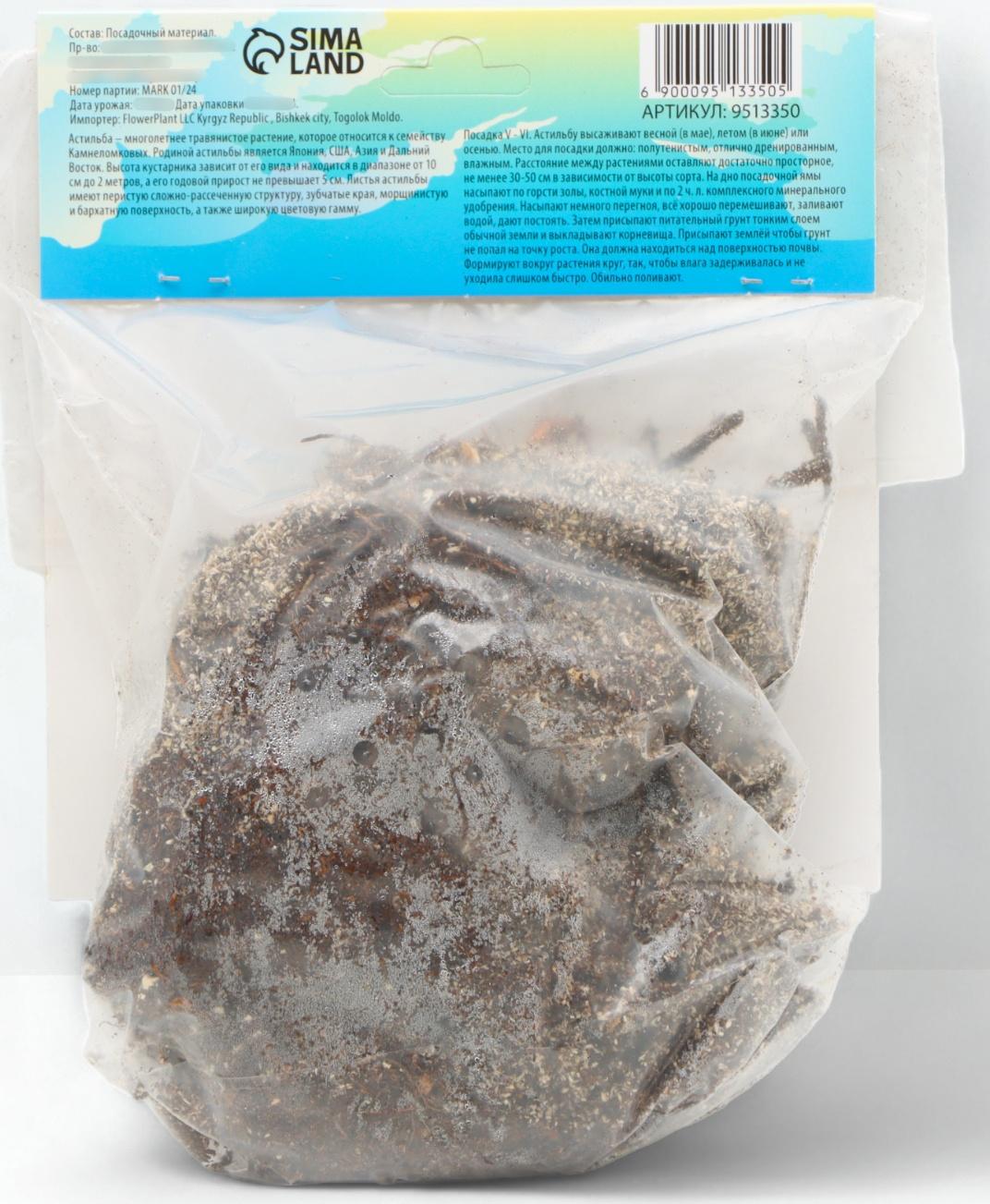 Астильба Арендса 