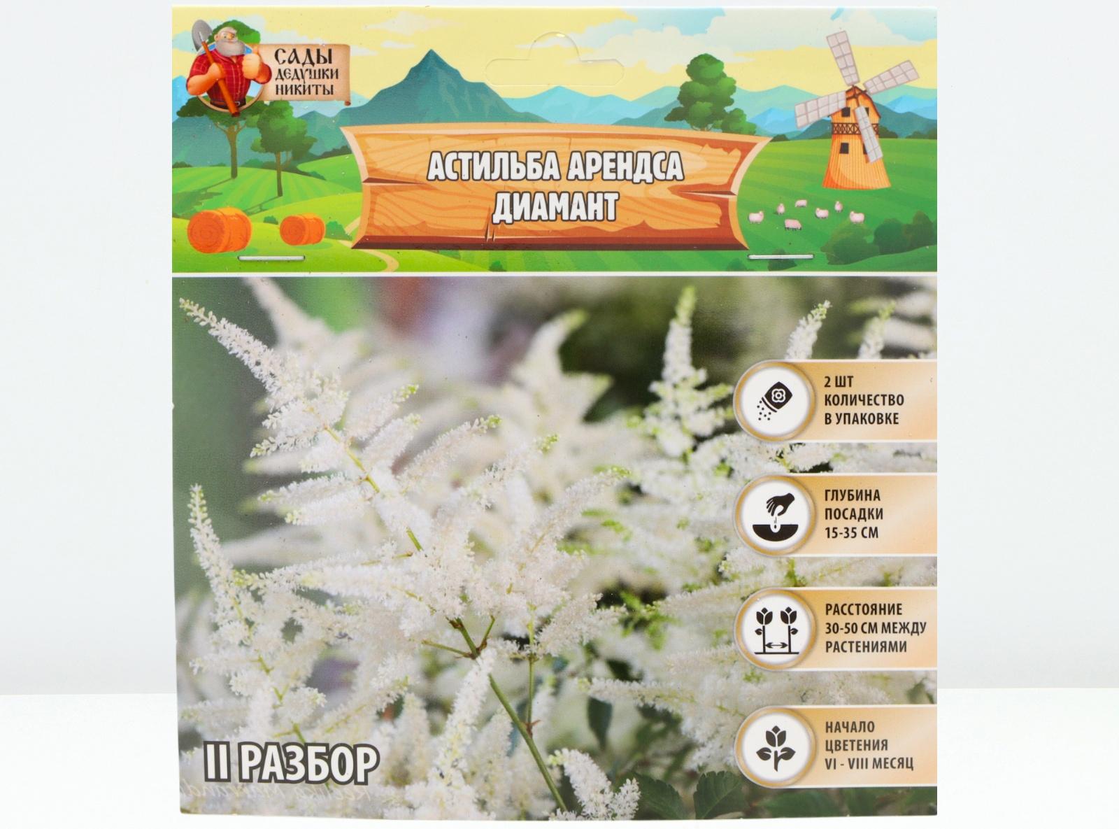 Астильба Арендса 