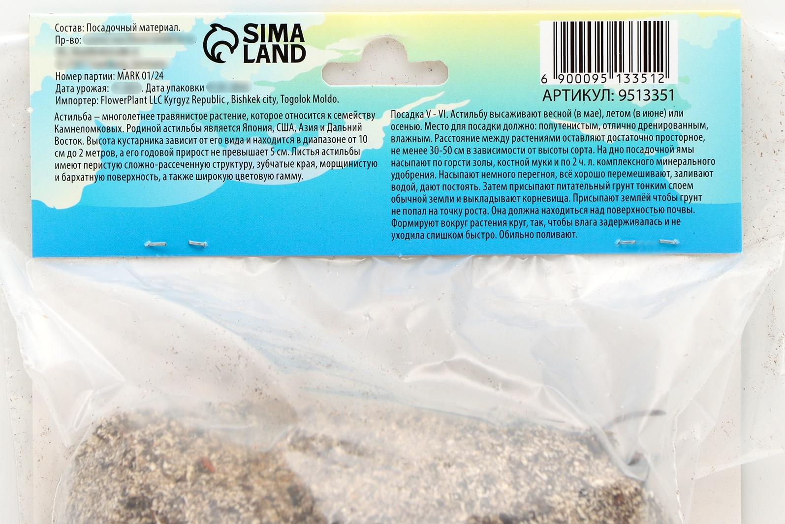 Астильба Арендса 