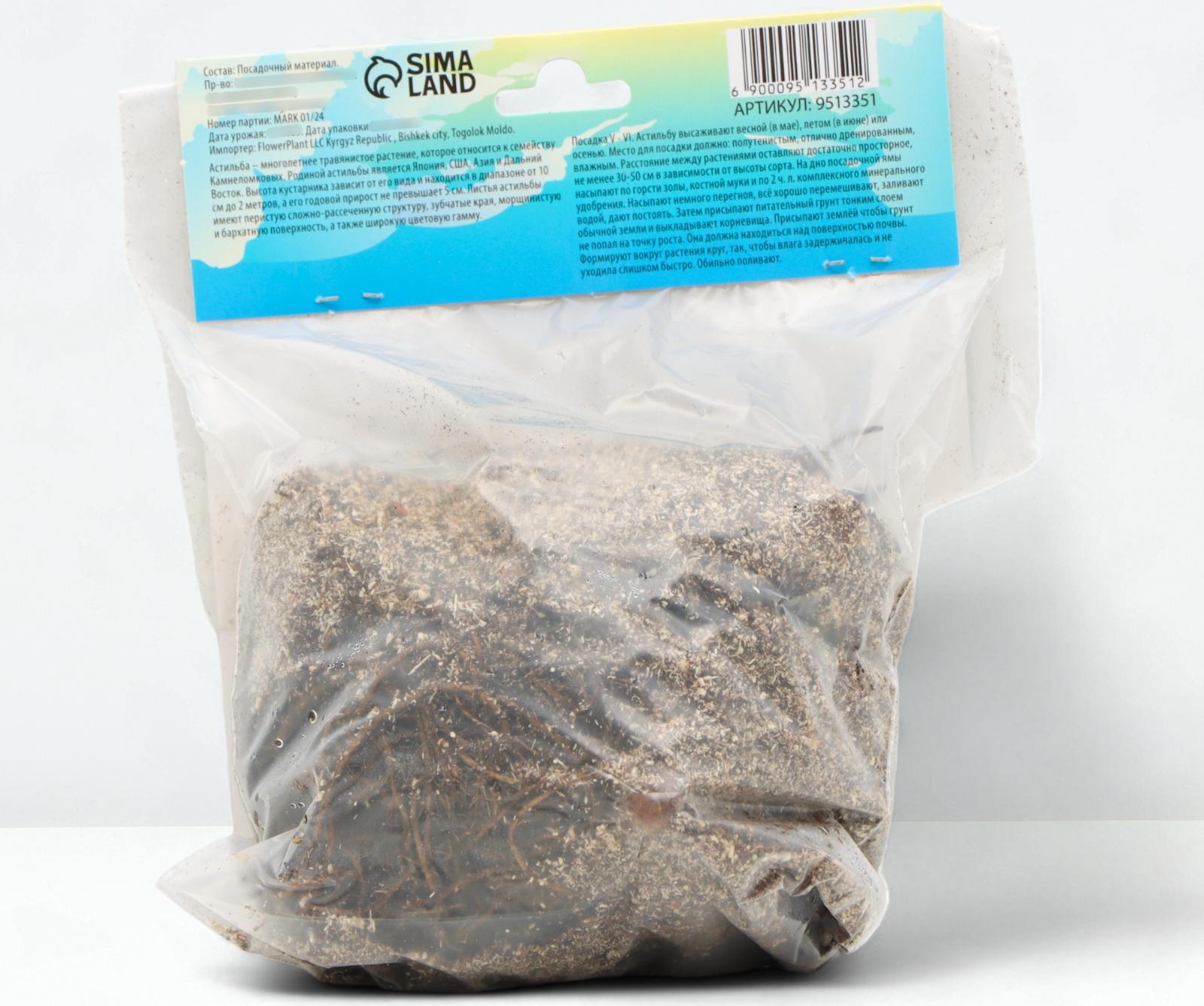 Астильба Арендса 