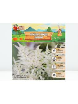 Астильба Арендса 