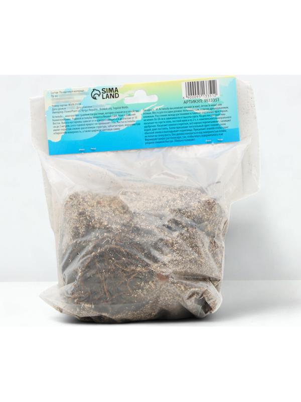 Астильба Арендса 