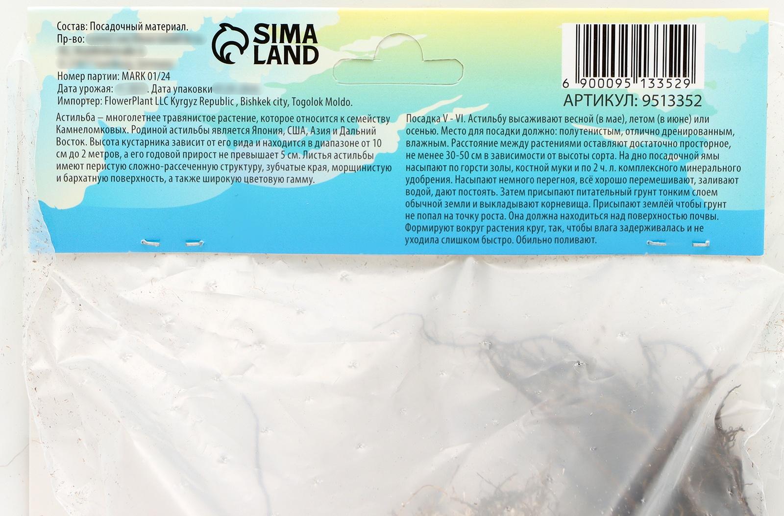 Астильба Арендса 