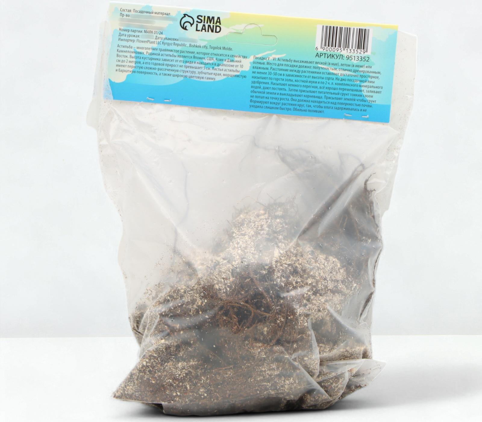 Астильба Арендса 