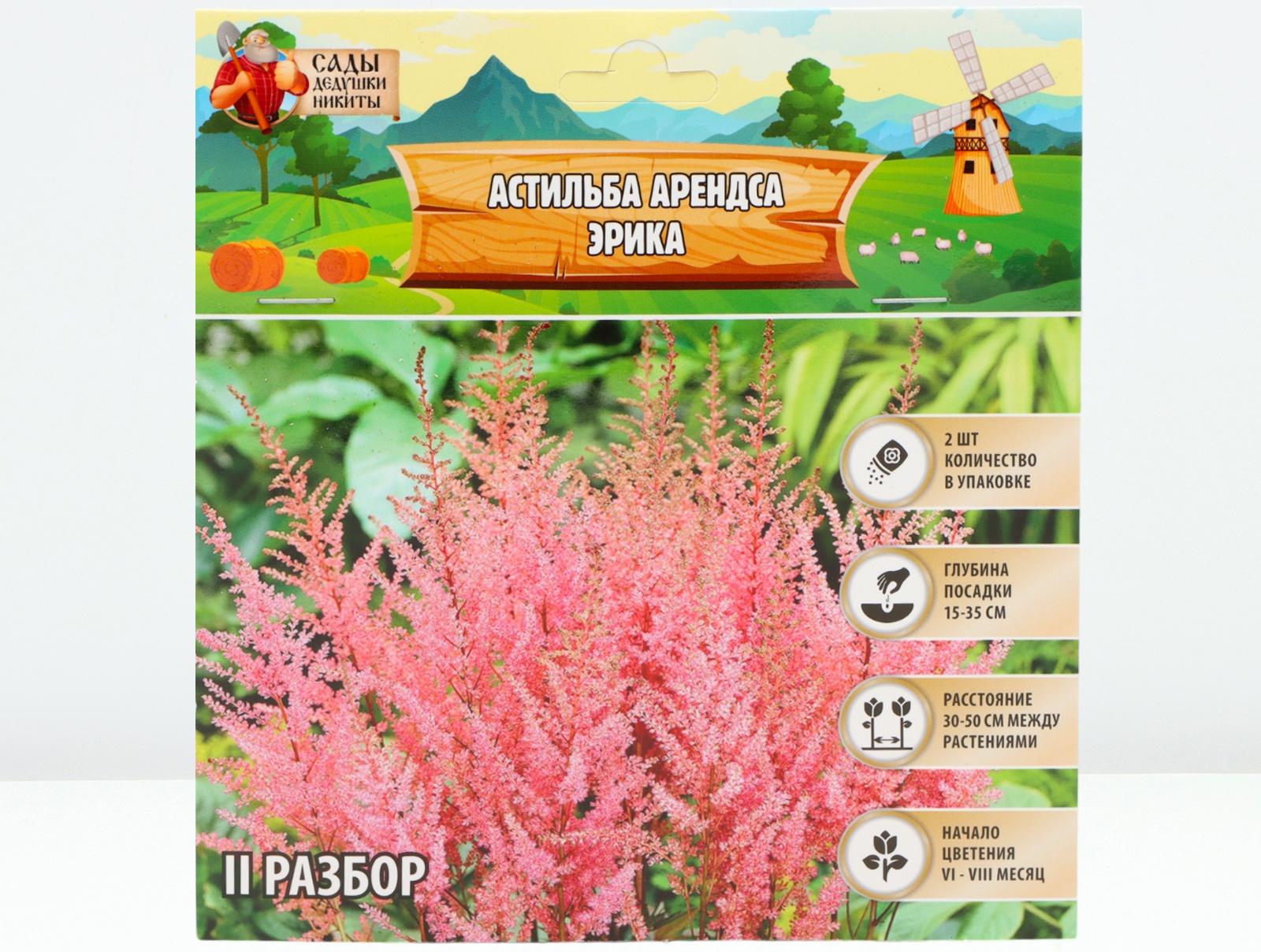 Астильба Арендса 