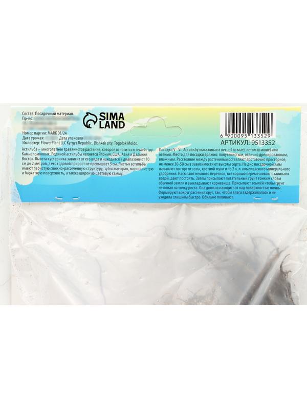 Астильба Арендса 