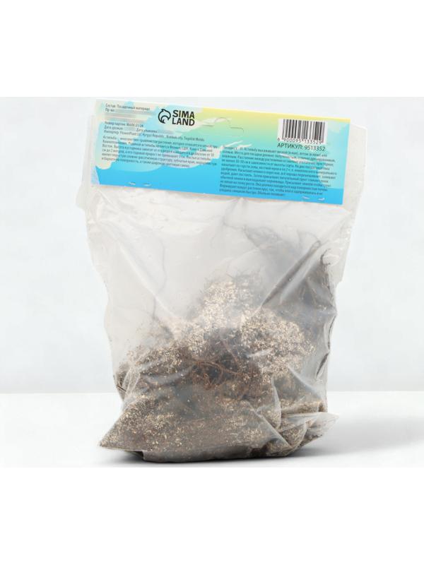 Астильба Арендса 