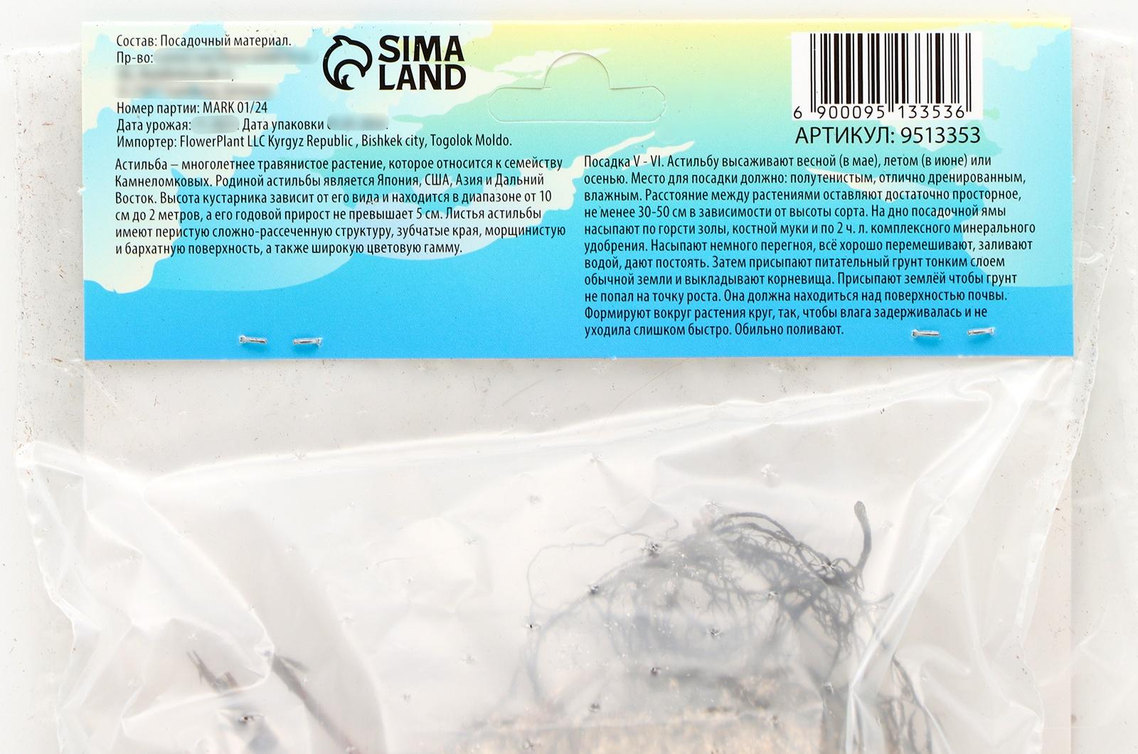 Астильба Арендса 