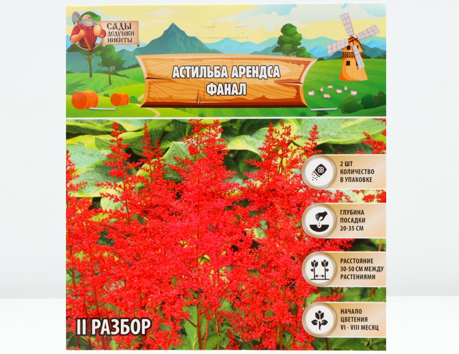 Астильба Арендса 