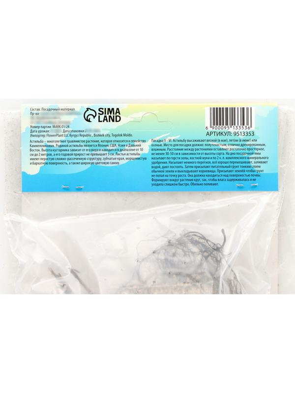 Астильба Арендса 