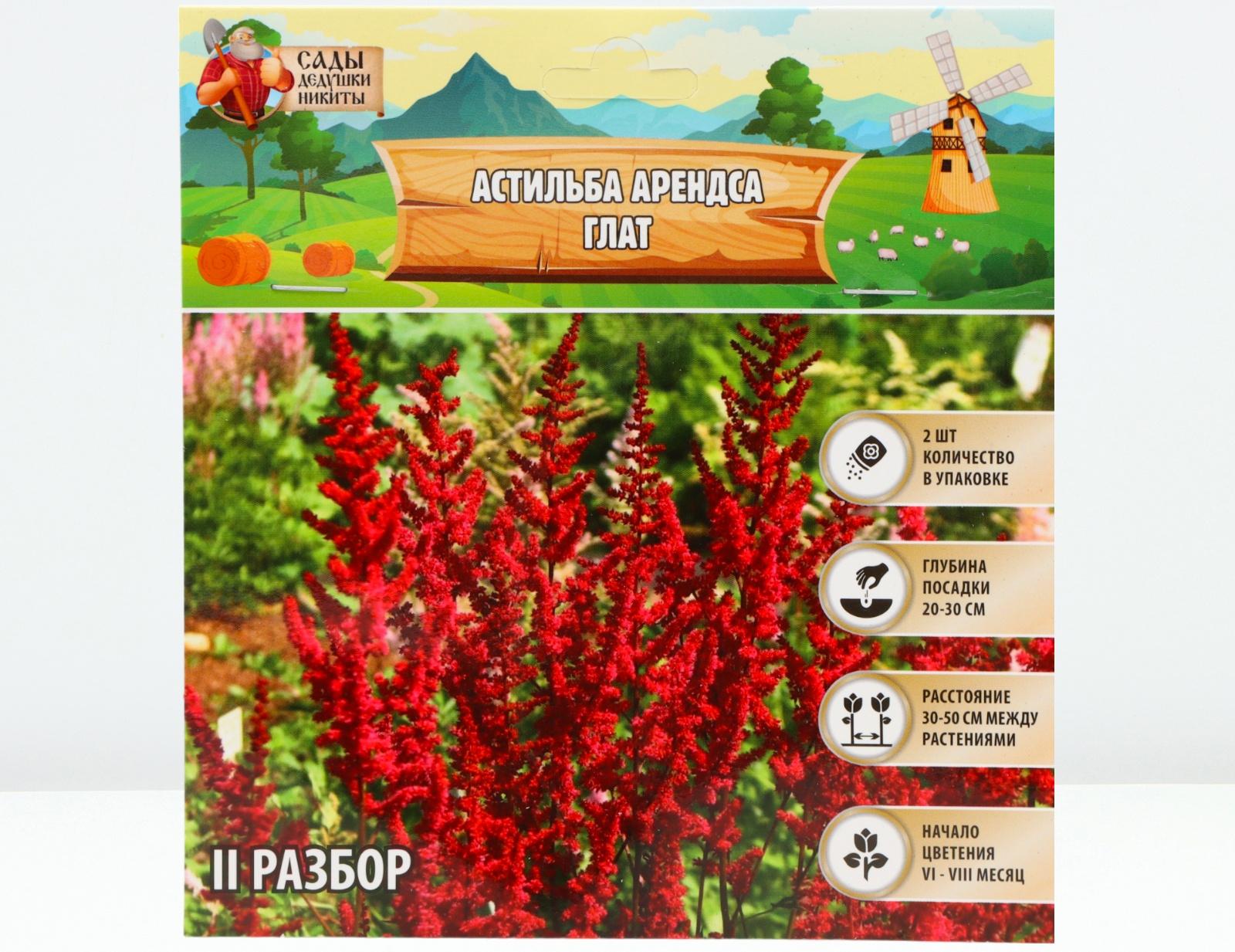 Астильба Арендса 