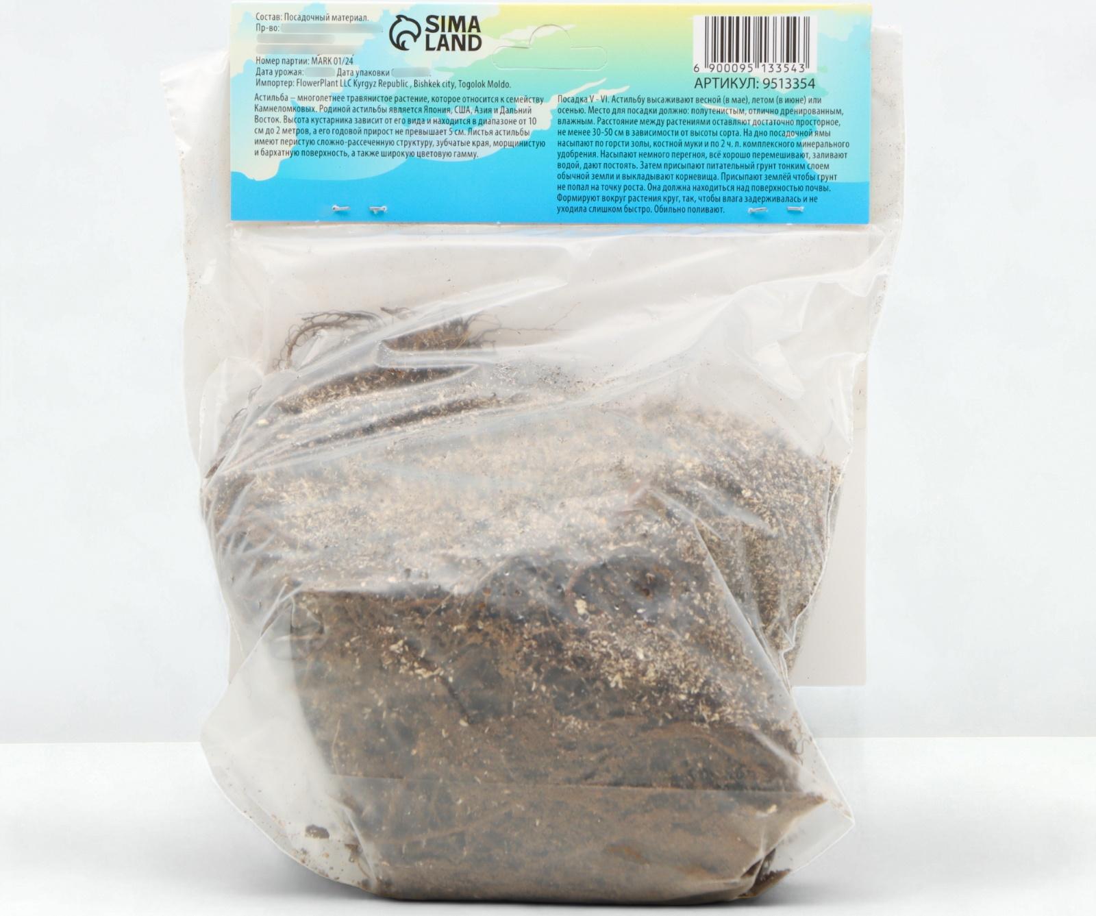 Астильба Арендса 