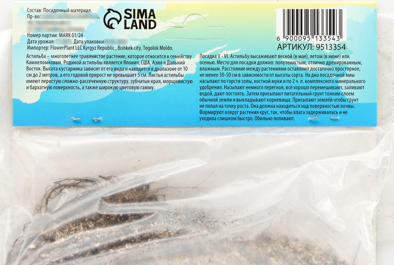 Астильба Арендса 