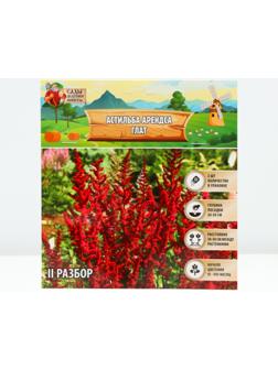 Астильба Арендса 