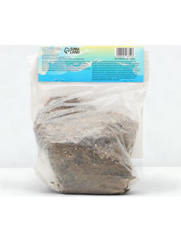 Астильба Арендса 