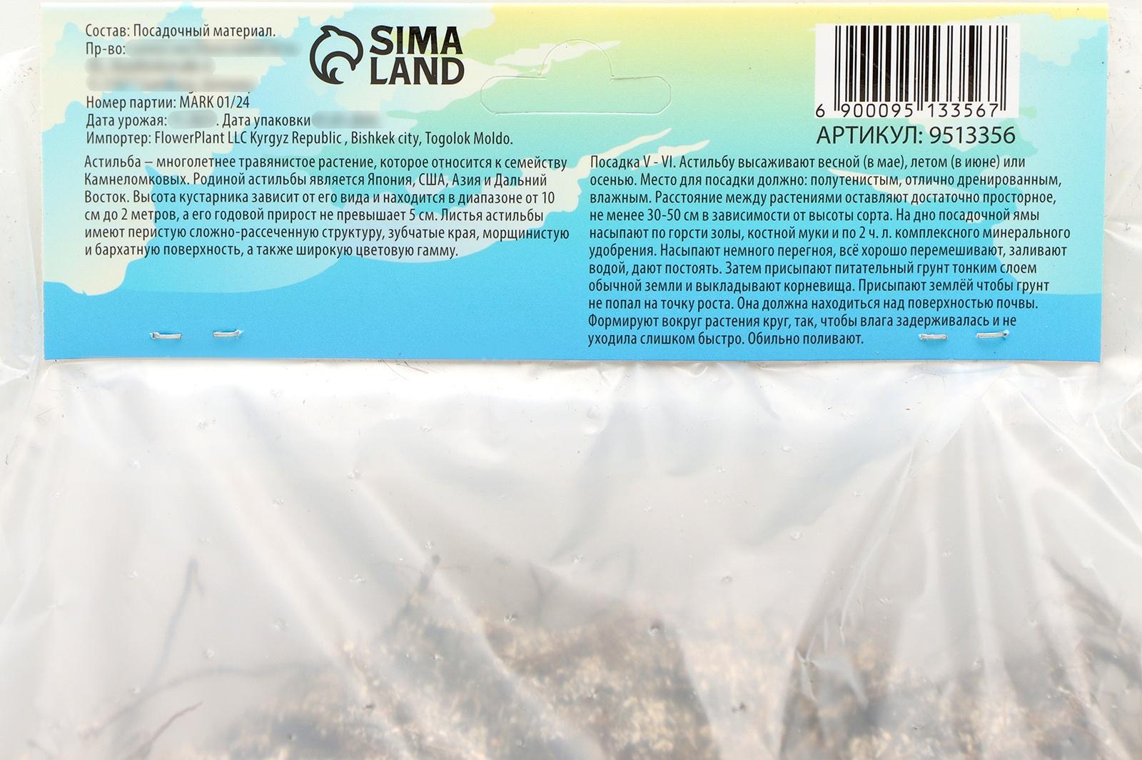 Астильба Арендса 