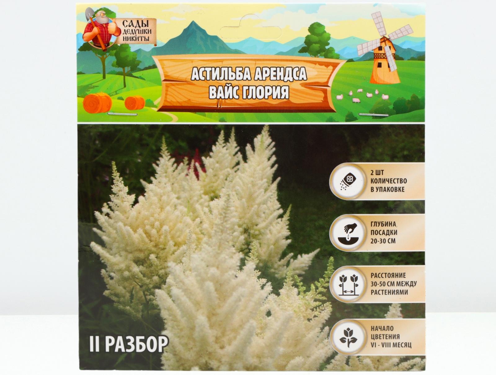 Астильба Арендса 