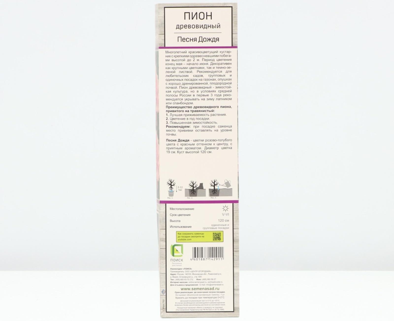 Пион древовидный (привитый на травянистый) 
