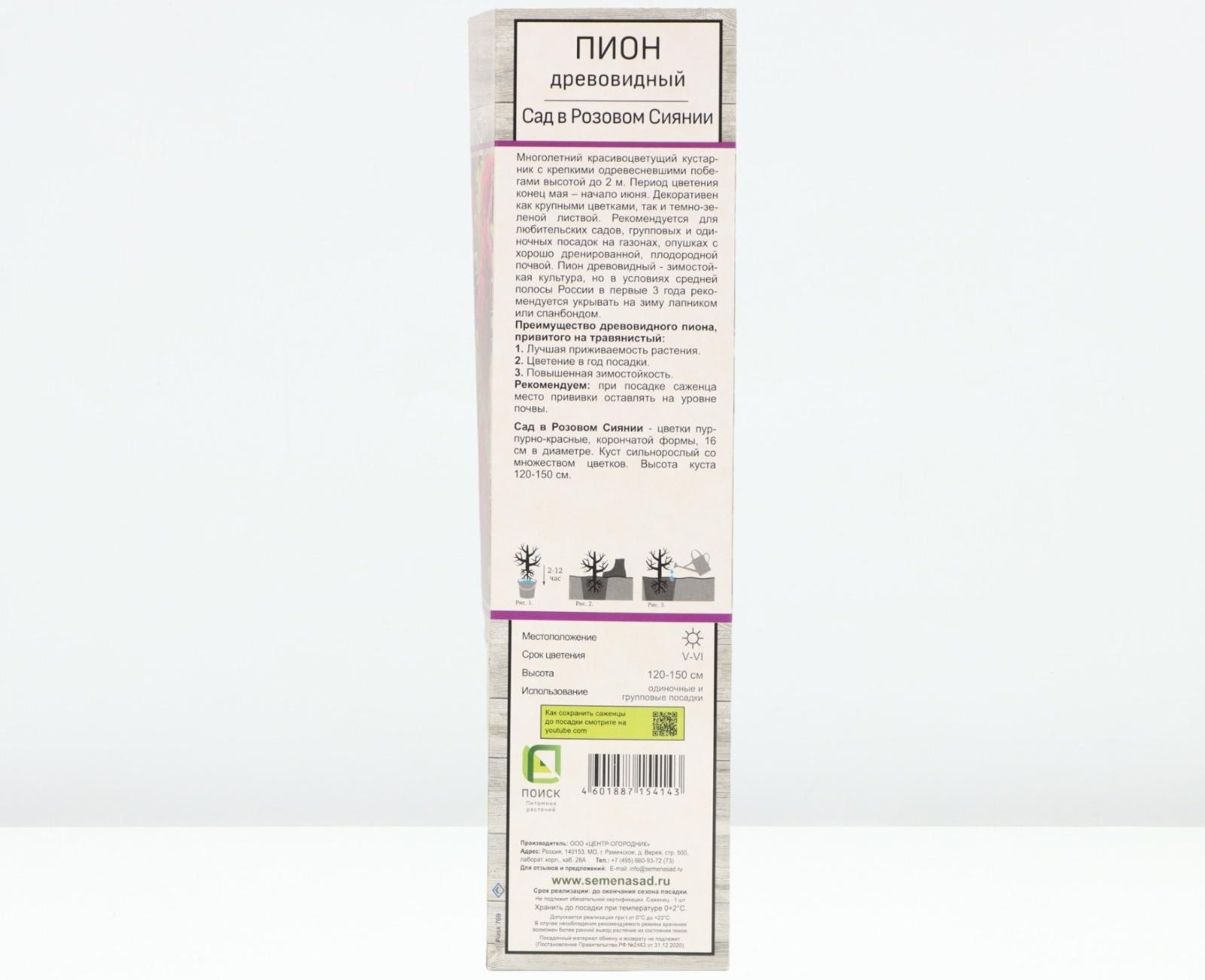 Пион древовидный  