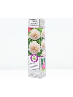 Пион древовидный  