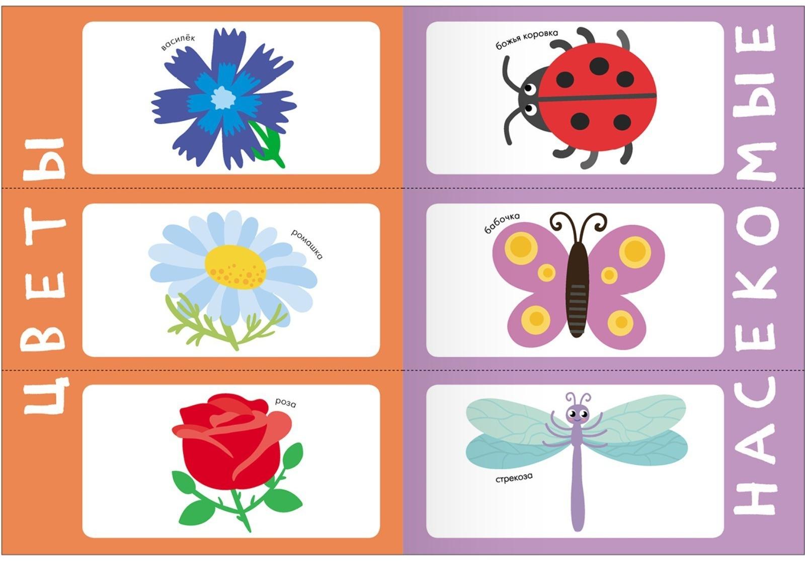 Школа Семи Гномов. Базовый курс. Комплект 1+. Денисова Д.