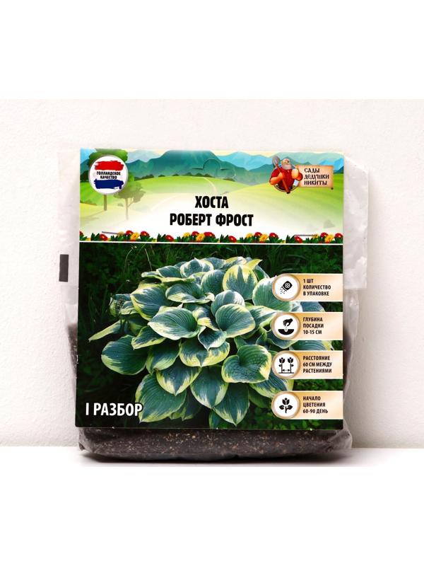 Хоста 