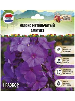 Флокс метельчатый 