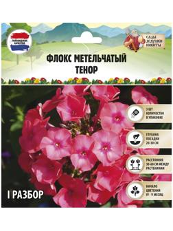 Флокс метельчатый 