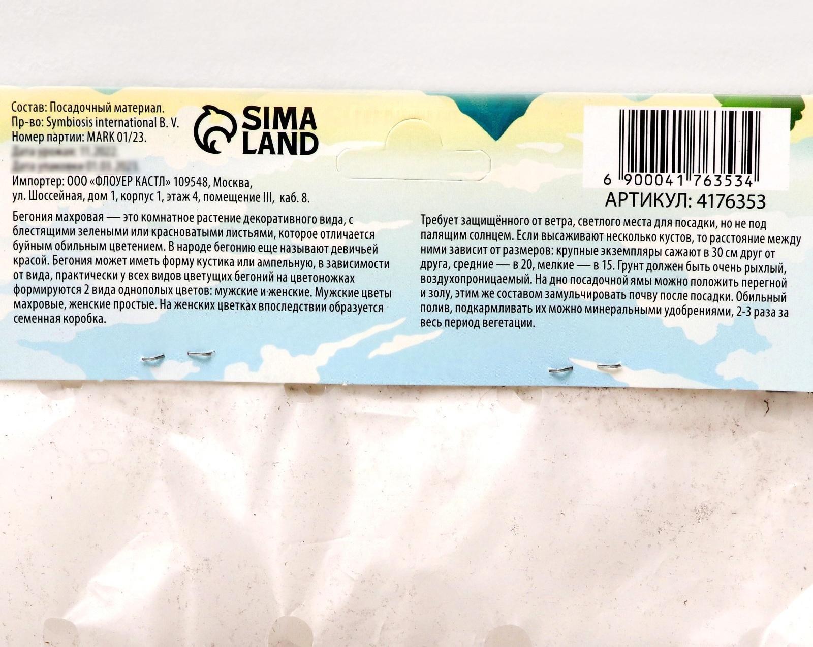 Бегония махровая 