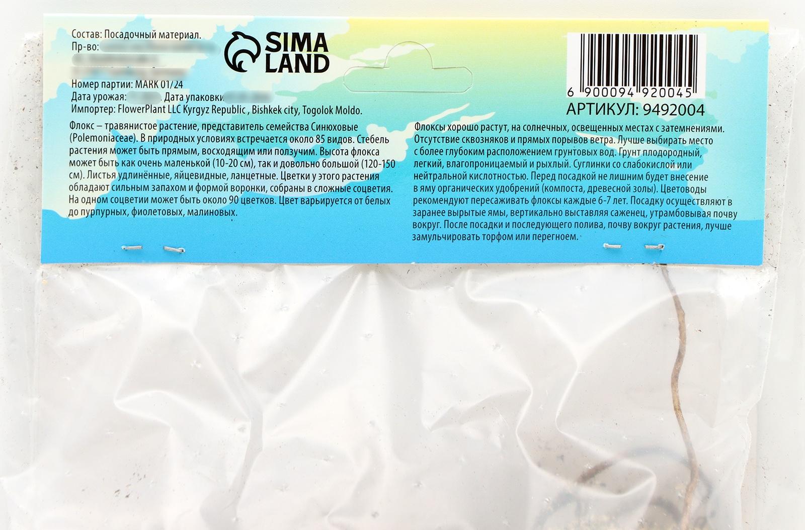 Флокс метельчтый 