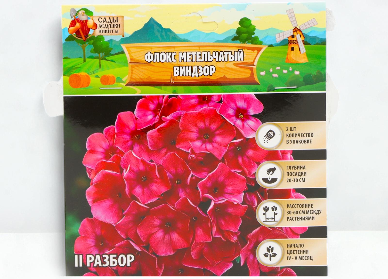 Флокс метельчтый 