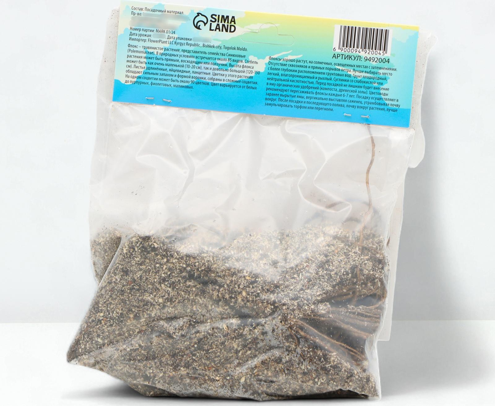 Флокс метельчтый 