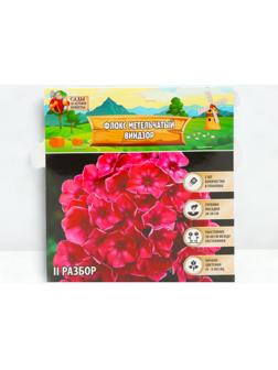 Флокс метельчтый 