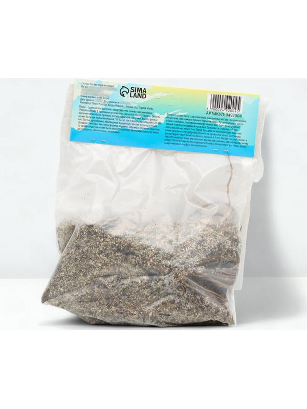 Флокс метельчтый 