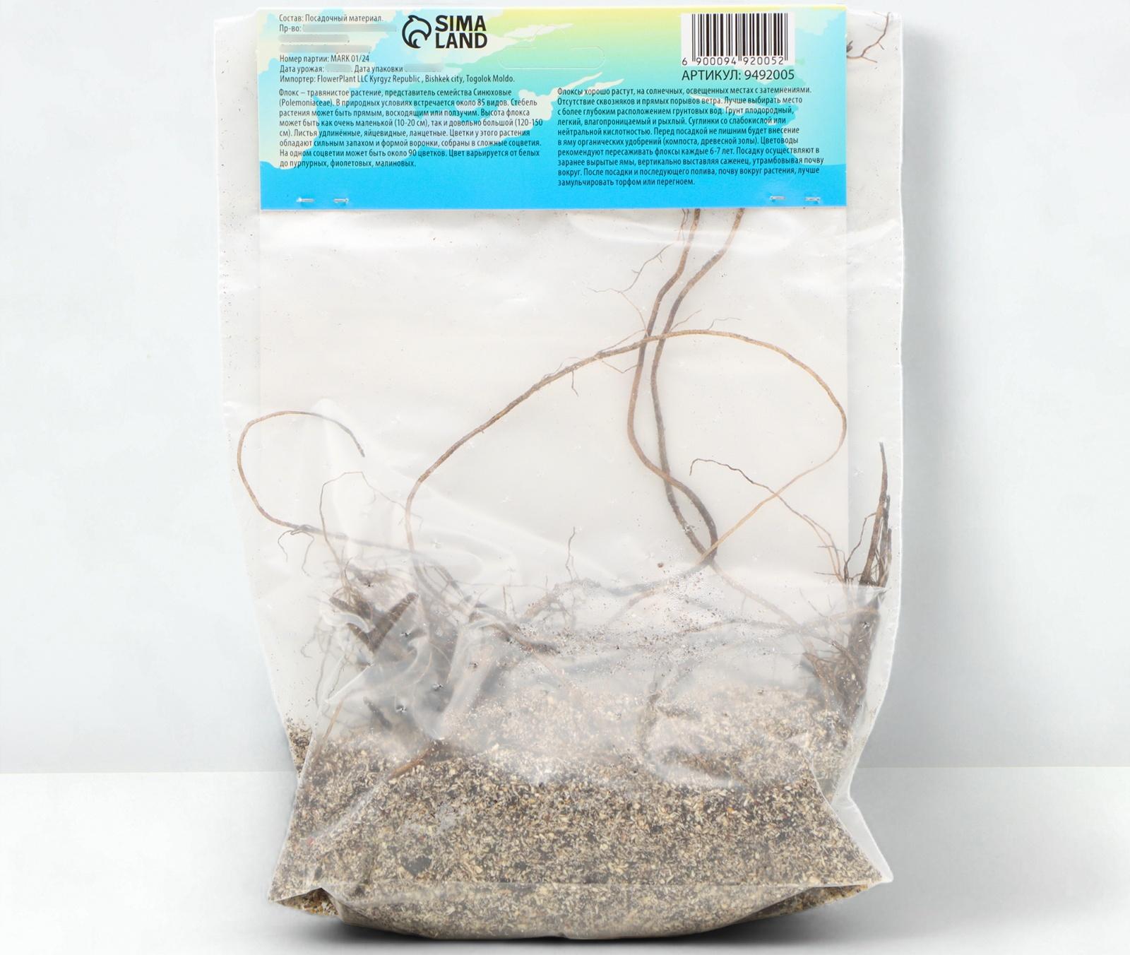 Флокс метельчтый 