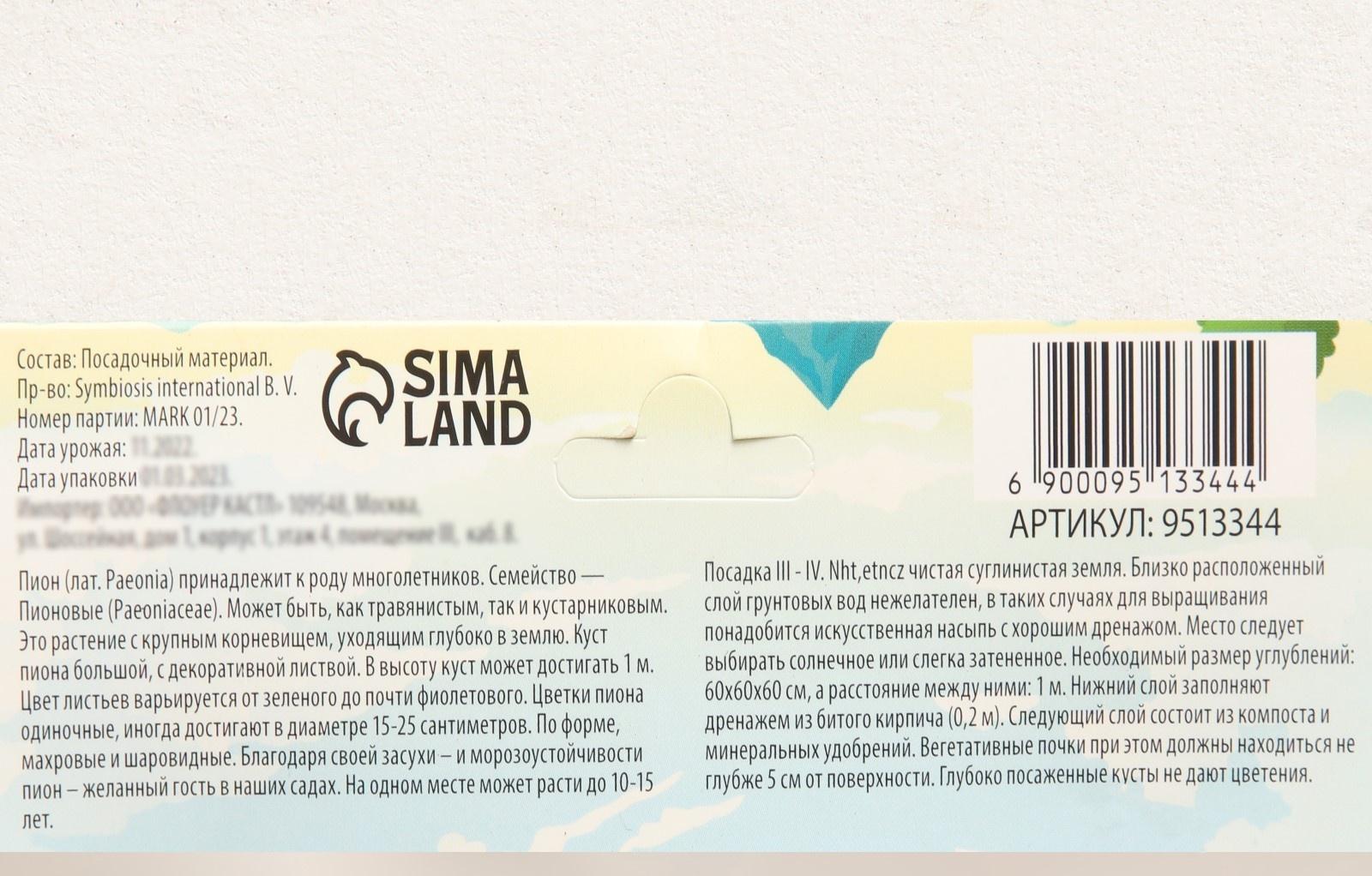 Флокс метельчтый 