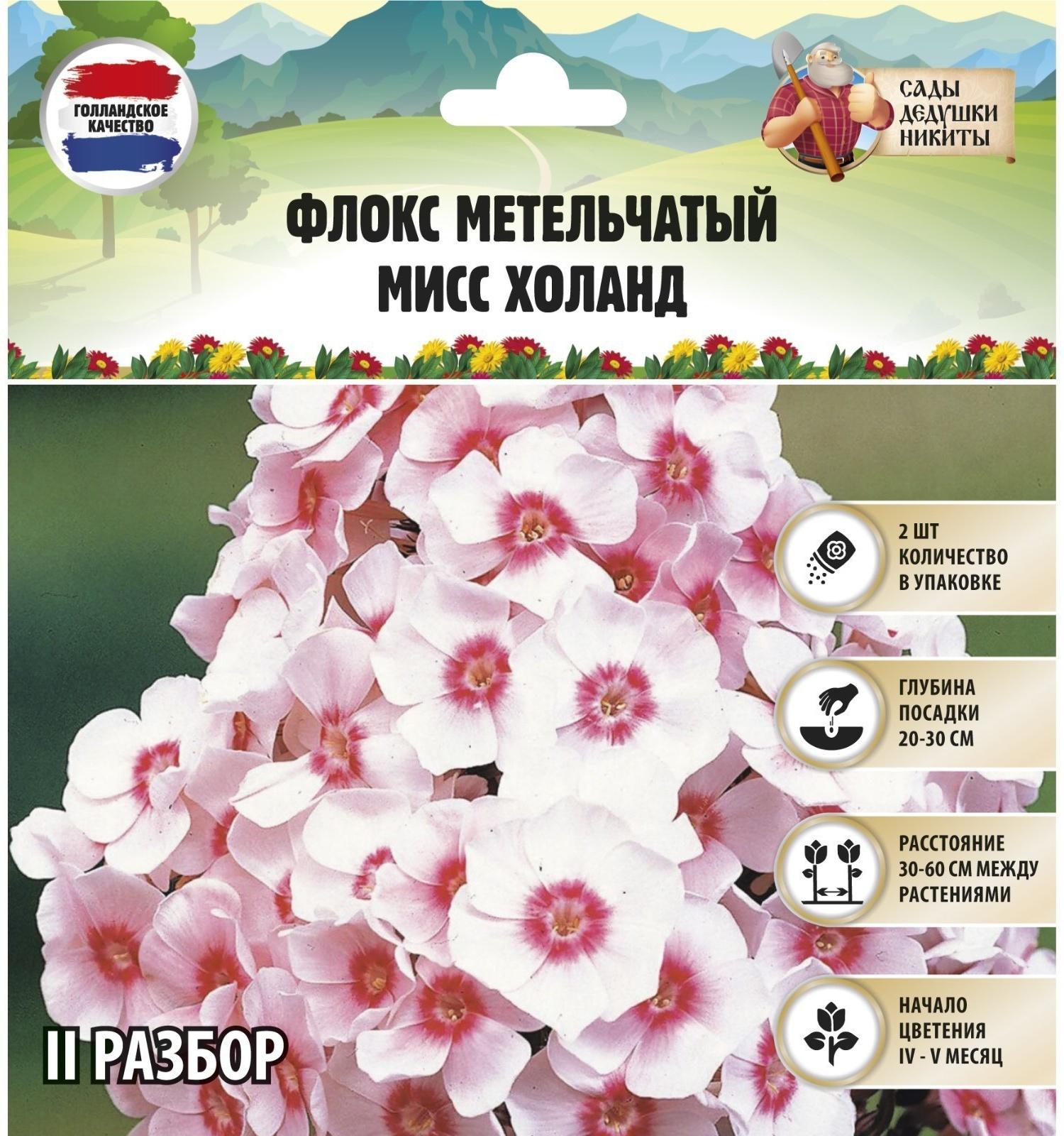 Флокс метельчтый 