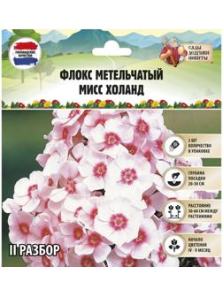 Флокс метельчтый 