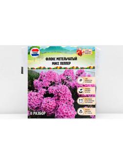 Флокс метельчтый 